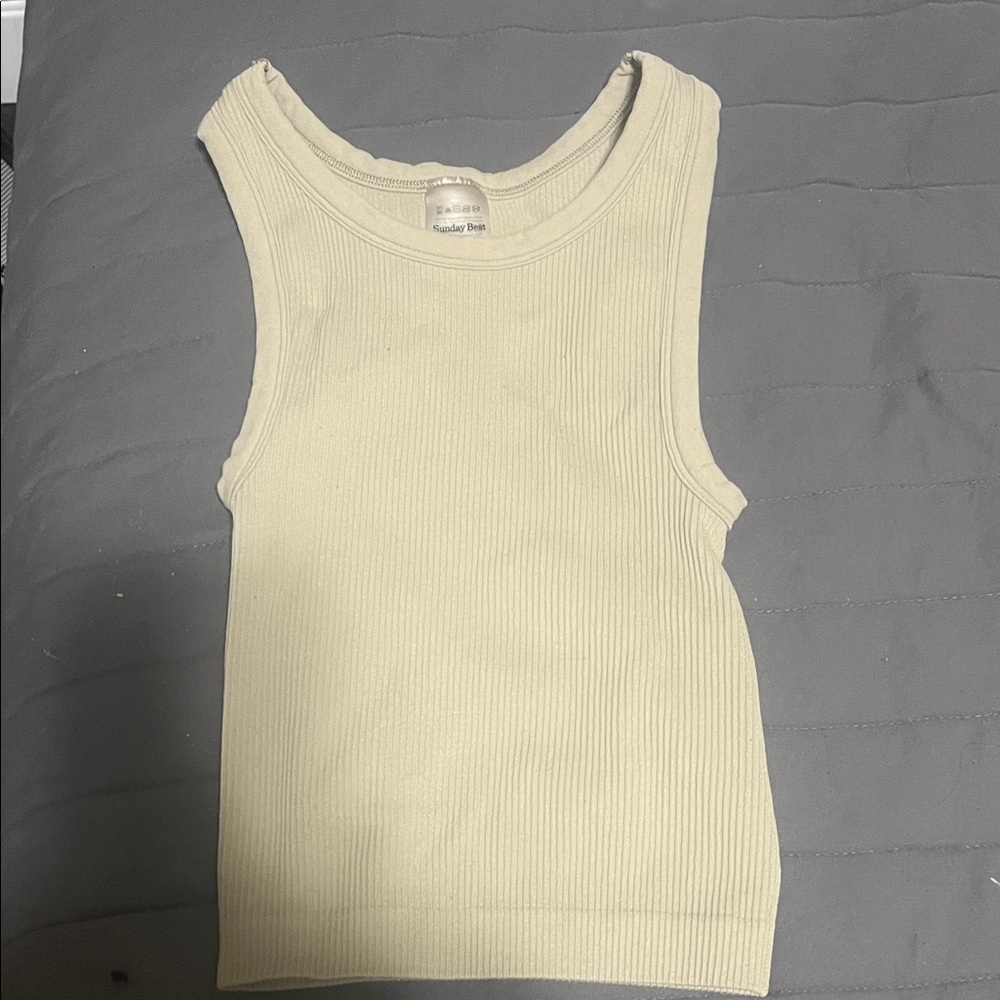 Sunday Best (Aritzia) Ribbed Beige Tank Top